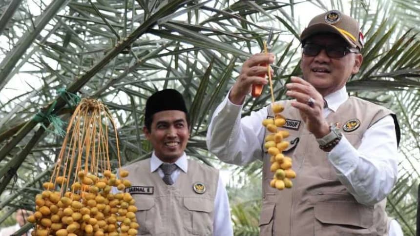 Menhaj Dorong Kurma Lokal Masuk Ekosistem Haji