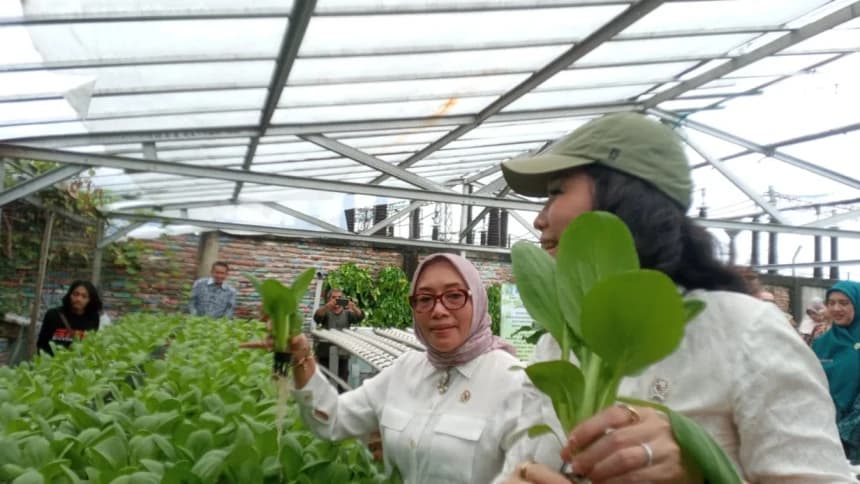 Kampung Jimpitan KB2 di Tangerang Jadi Role Model Lumbung Pangan Keluarga