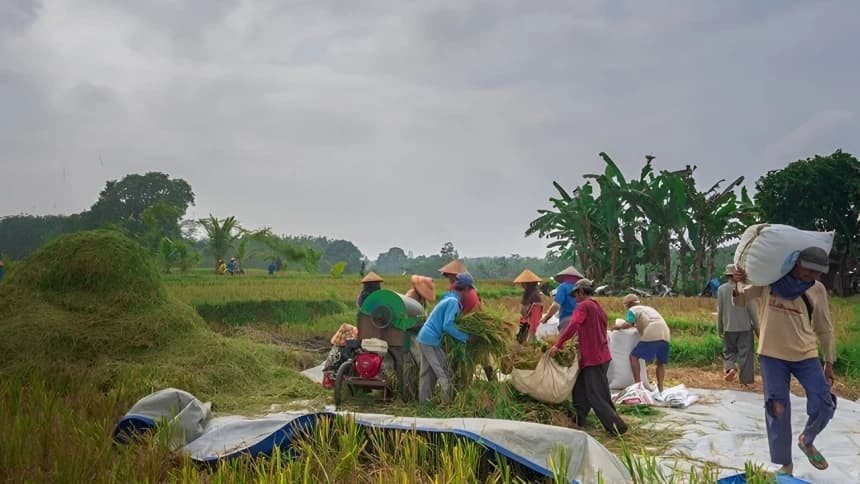 Pakar Nilai Rencana Prabowo Hapus Kuota Impor Bisa Merusak Hasil Produksi Petani Lokal