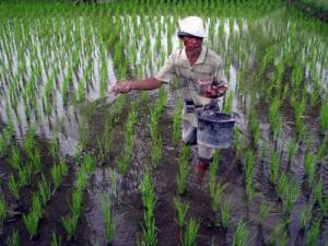 ISNU Ikut Selamatkan Petani dari Lintah Darat