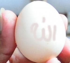 Ada Telur Bertuliskan Asma Allah
