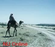 Sudan's NU holds discussion on tasawuf