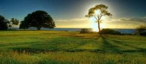 Upaya Meraih Rahmat Allah swt