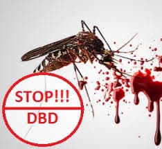 Pemerintah Mesti Kreatif Atasi Wabah DBD