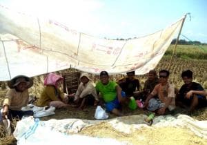 Panen Padi Gerakkan Solidaritas GP Ansor Lakbok