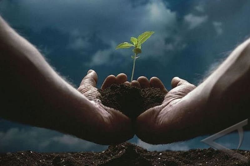 Ingin Terus Dapat Pahala, Lakukan Hal Kecil Ini!