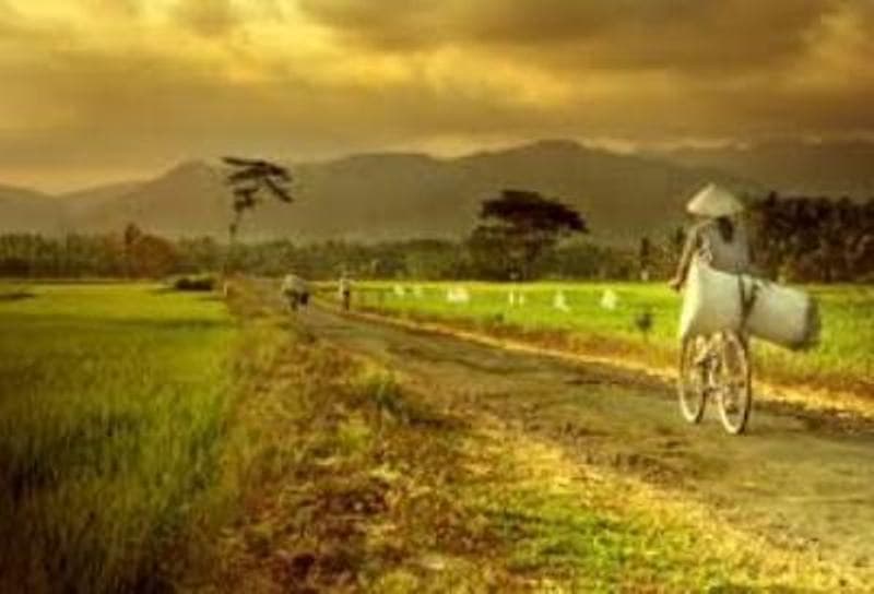 Di Balik Anjuran Rasulullah SAW soal Kemandirian