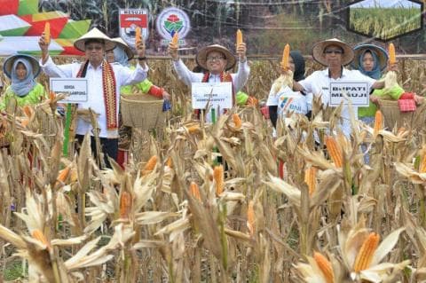 Kota Terpadu Mandiri Mesuji Model Korporatisasi Petani