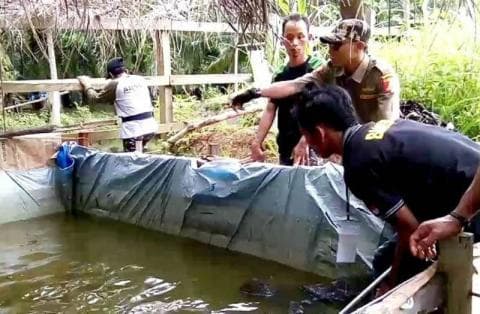 Ansor Paser: Sejuta Saran Tidak Berarti Tanpa Gerakan
