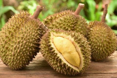 Kiai Zarkasyi Rawalini dan Aroma Durian