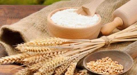 Islam Nusantara dan Gandum