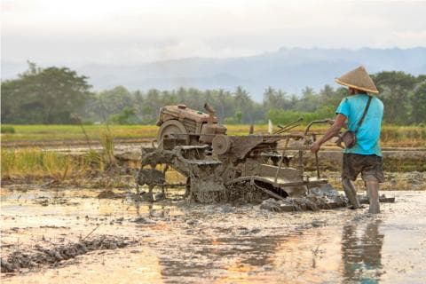 Akar Masalah yang Menghambat Kedaulatan Pangan Indonesia