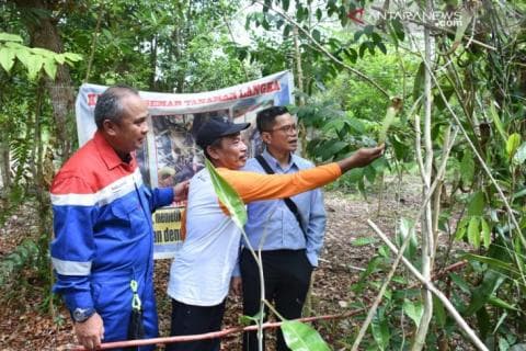 Lestarikan Gambut lewat Pemberdayaan Masyarakat Papua