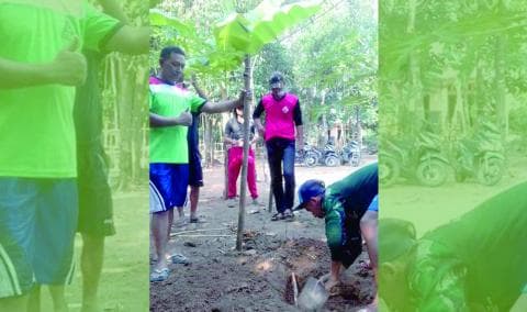 Rintis Kemandirian Ekonomi, Ansor Pekalongan Tanam Pisang