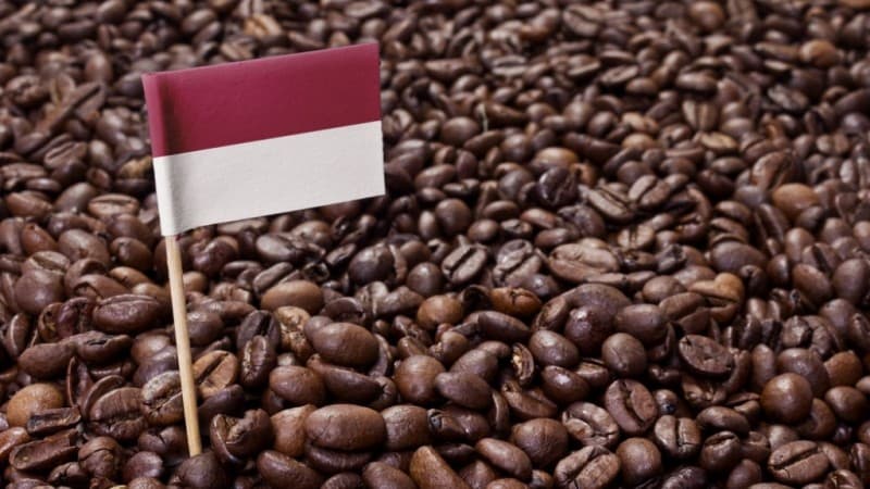 Merawat Indonesia: Berguru pada Kopi