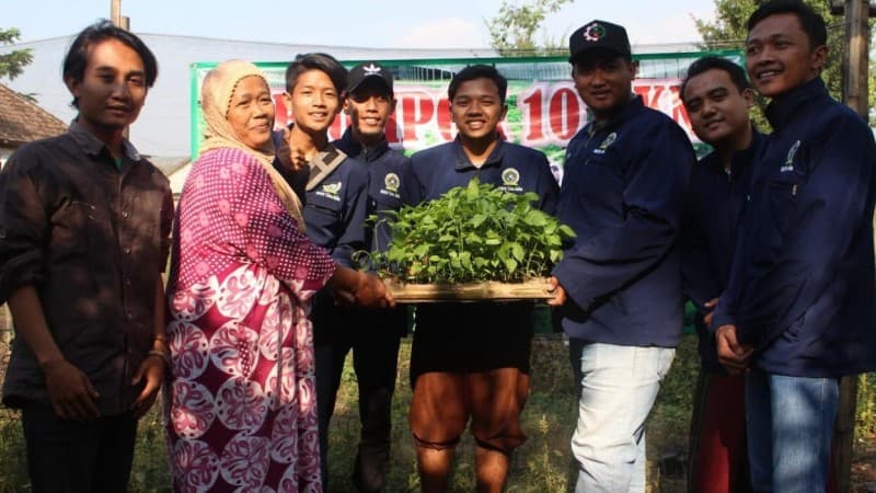 Manfaatkan Pekarangan Rumah, Tani Millenial dan Kaum Emak di Jombang Tanam Holtikultura
