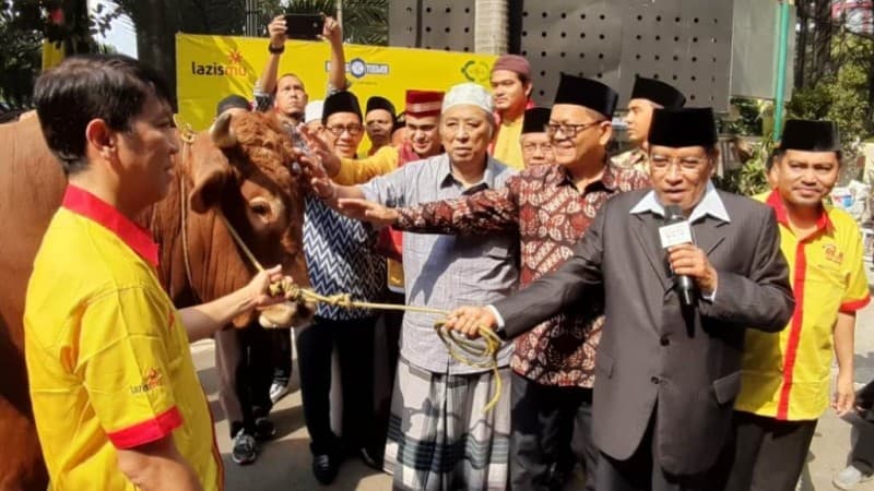 PBNU Kembali Terima Kurban 2 Sapi Limosin
