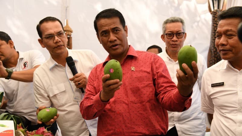 Mentan: Ekspor Memperkuat Merah Putih, Impor Melemahkan Petani Kita