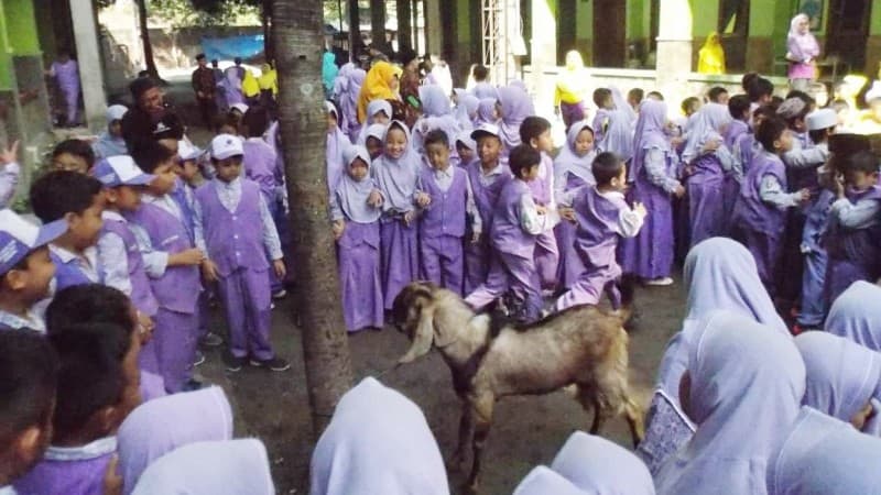 Cara Lembaga pendidikan Roushon Fikr Jombang Ajari Anak Asuhnya Berkurban