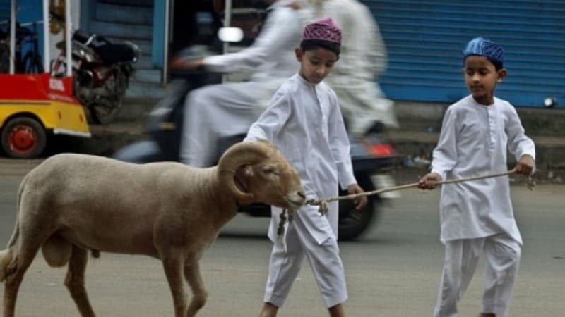 Dimensi Sosial dalam Ibadah Kurban: Belajar Sifat Asih Nabi Ibrahim