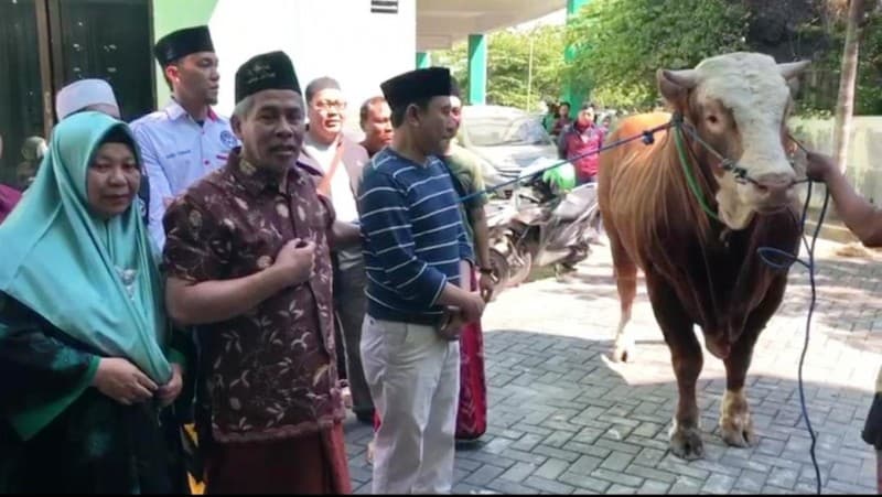 Keluarga Khofifah Serahkan Kurban Sapi ke NU Jatim