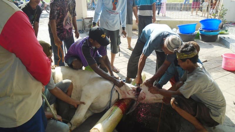 LAZISNU NTB Saluran Daging Kurban ke Kawasan Terdampak Gempa