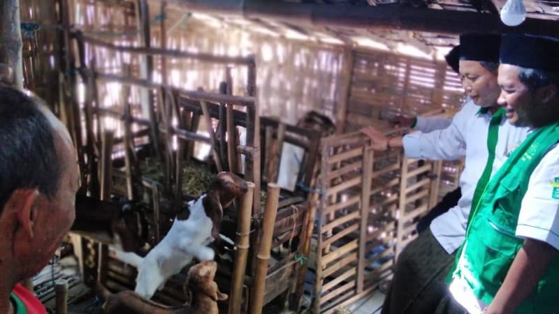 Pemberdayaan Warga dengan Program 'Kambing Bergulir'