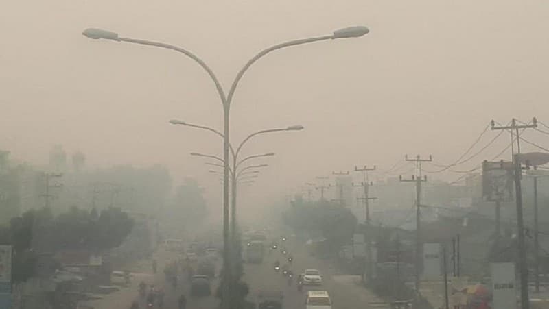 Pemerintah Didesak Cabut Izin dan Pidanakan Perusahaan Pembakar Hutan