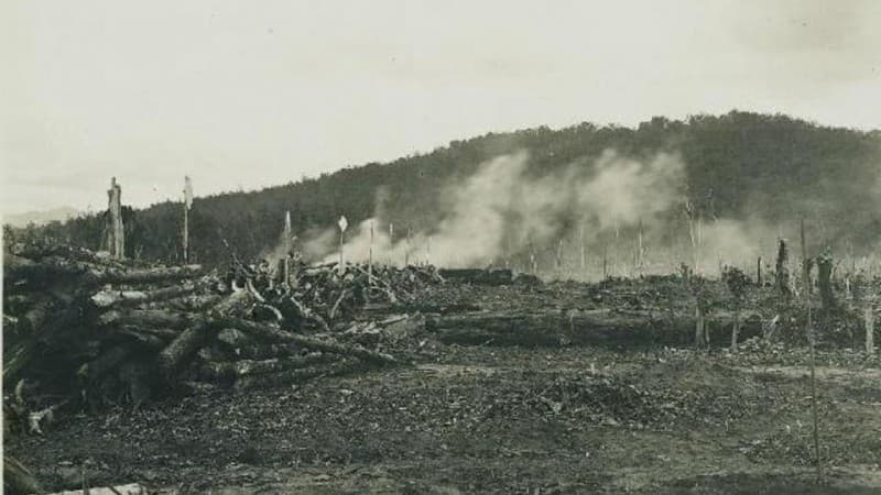 Penyebab Bencana Kabut Asap Selama Berabad-abad Silam