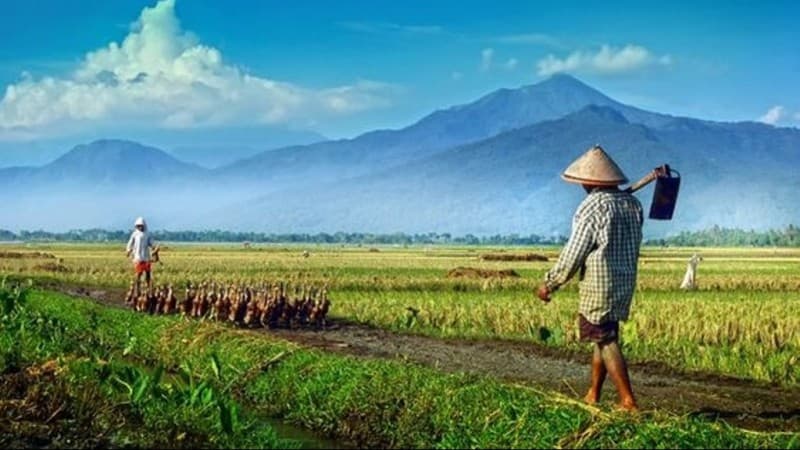 Hari Tani, Mengawal Program Infrastruktur dan Kebijakan Agraria