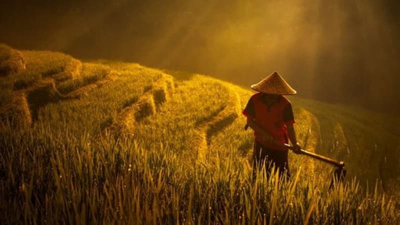 Menanti ‘Gebrakan’ Undang-Undang Sistem Budidaya Pertanian yang Baru