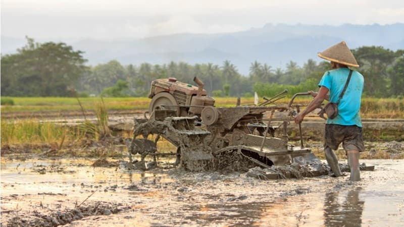 Petani, Tulang Punggung Negara