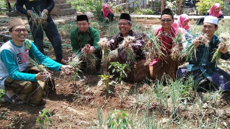 Kemandirian Ekonomi Pesantren Al-Imdad Farm Diapresiasi Pemerintah
