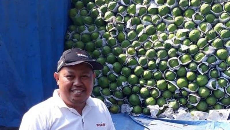 Alumnus Pesantren Pelopori Bertani Pepaya California