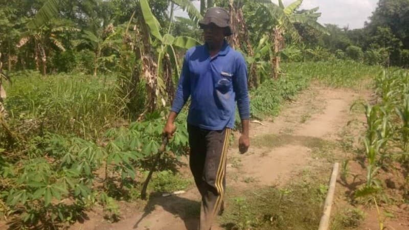 Berkat Bertani Sayur Mayur, Warga Pamarayan Kini Sejahtera