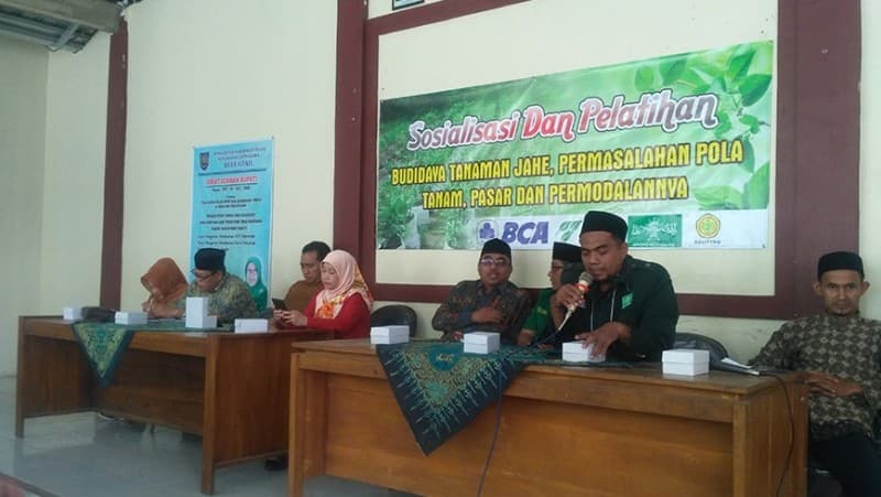 Petani NU Tegal Kembangkan Potensi Tanaman Jahe Emprit