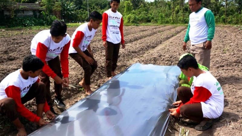 Siswa di Pesantren Sirajul Huda Lombok Tengah Dilatih Bertani