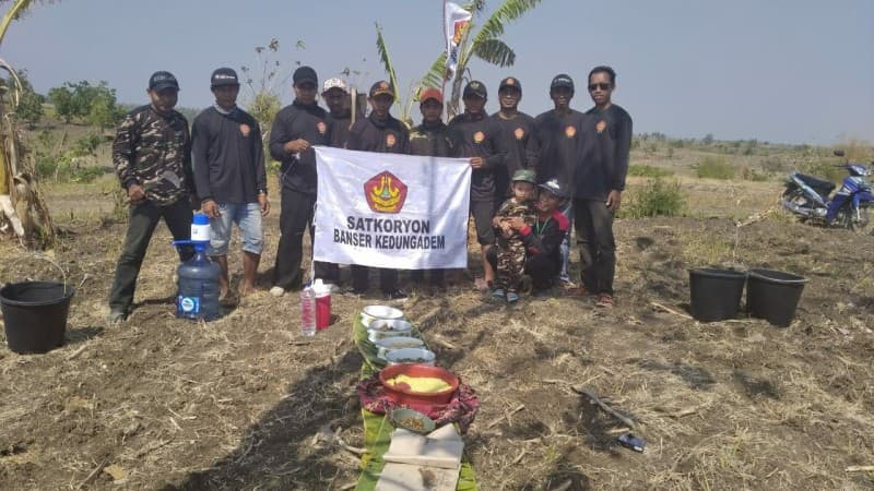 Tanam Jagung, Upaya Banser Kedungadem Perkuat Ekonomi Anggota