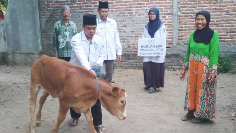 Berkah Maulid, Kader IPPNU Nganjuk Terima Beasiswa dan Bantuan Sapi