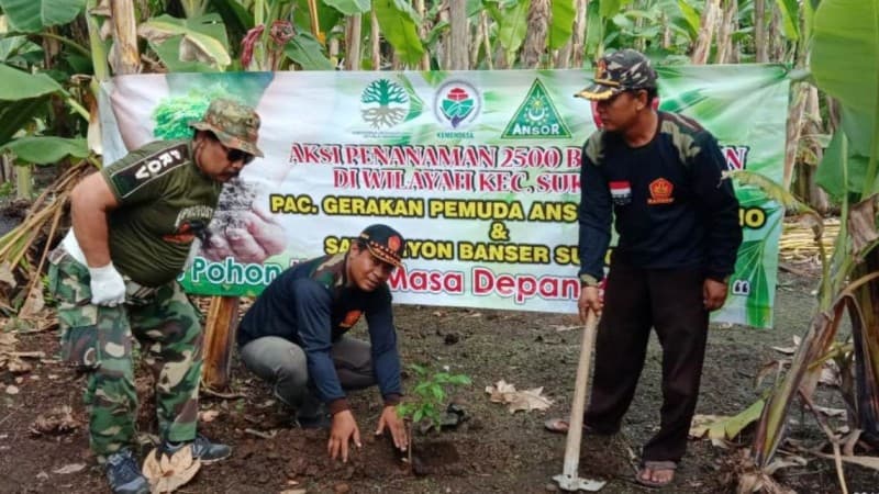 Peduli Lingkungan, Ansor di Sidoarjo Bagikan Ribuan Bibit Pohon 