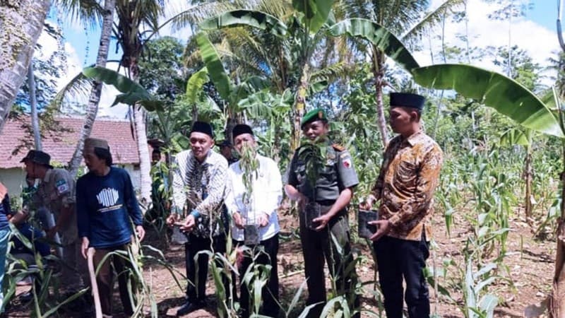 Lestarikan Lingkungan, LPBINU Malang Gelar ‘Adapsi Pohon’ 