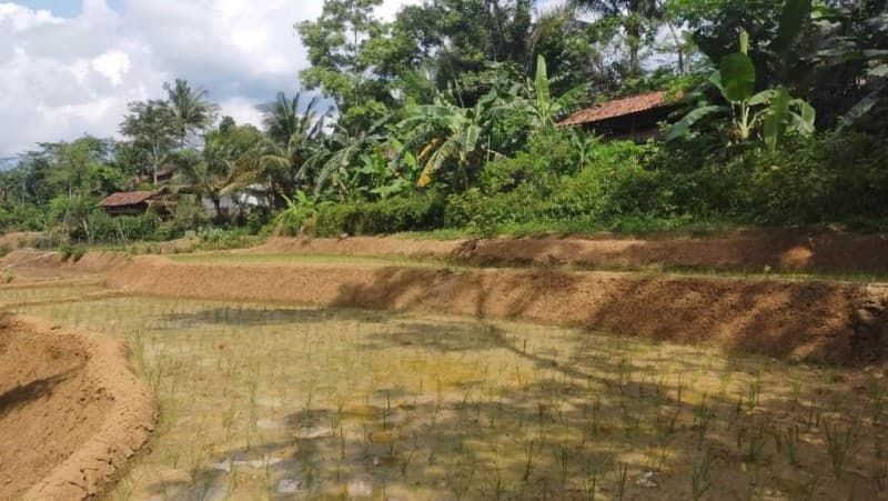 Larangan-larangan dalam 'Oendang-oendang Adat Krui'