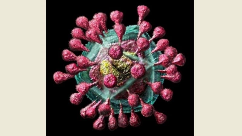 Waspada, Ini Media Penyebaran Virus Corona