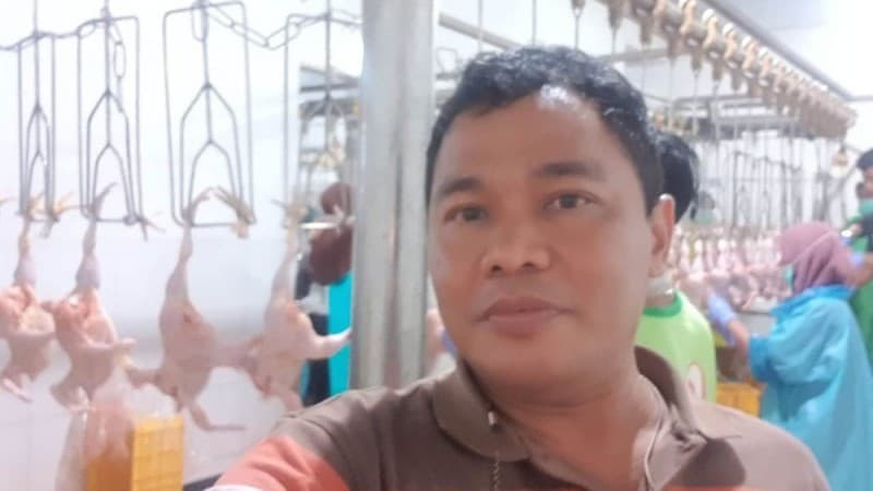 Inkopsim: Peternak dan Konsumen Ayam Jangan Dirugikan