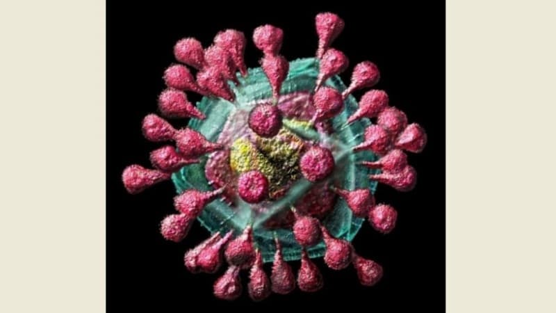 PDNU Prihatin atas Asumsi Sebagian Masyarakat Indonesia soal Virus Corona