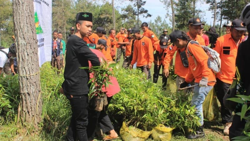 Hijaukan Alam, NU Backpacker Karanganyar Tanam 1.000 Bibit Pohon