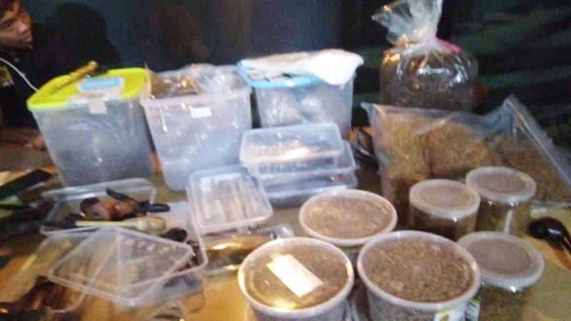 Rais NU Jateng Pimpin 'Nglinting Rokok Ting We' di Harlah NU