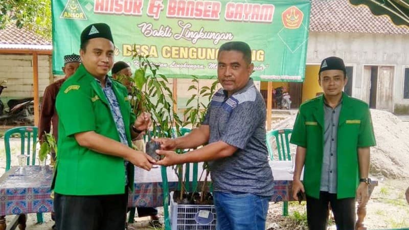 Peduli Lingkungan, Ansor Bojonegoro Tanam Ribuan Pohon Produktif