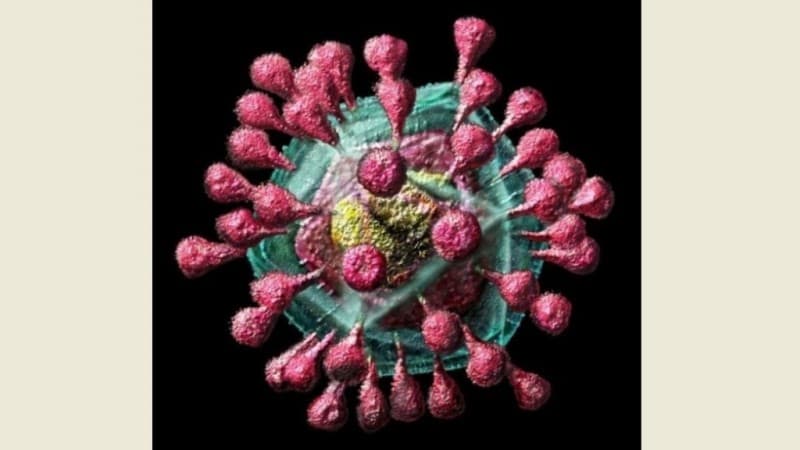 Hindari Penyebaran  Masif Virus Corona, Pemerintah Harus Tutup Bandara