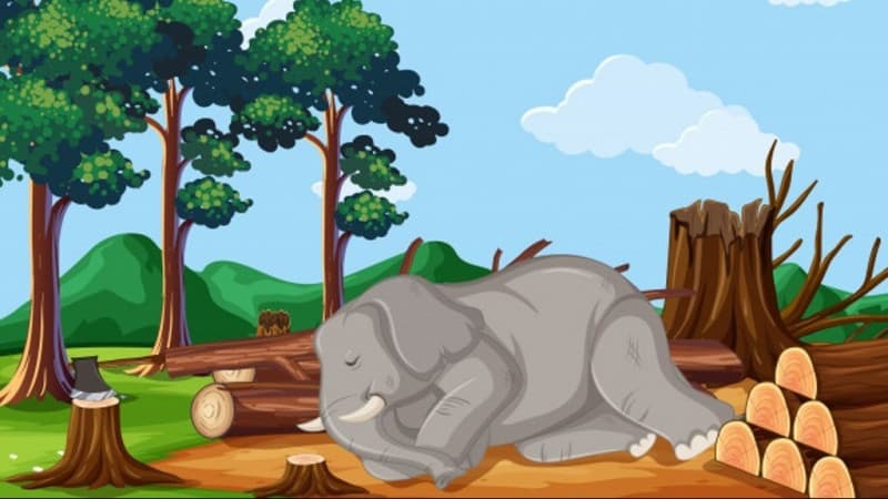 Modul Animasi, Media Pendidikan Raudhatul Athfal Berbasis Teknologi